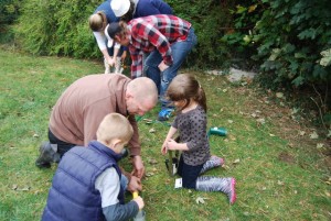 Planting Narcissi