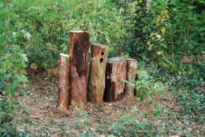 The Eco Wall